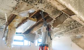 Best Post-Construction Mold Inspection  in Mount Cob, PA